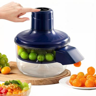 Electric Fruit and Vegetable Peeler